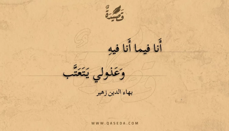 قصيدة أنا فيما أنا فيه