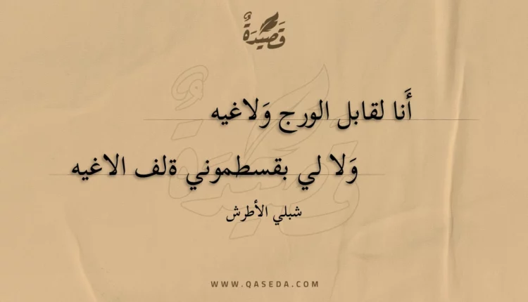 قصيدة أنا لقابل الورج ولاغيه