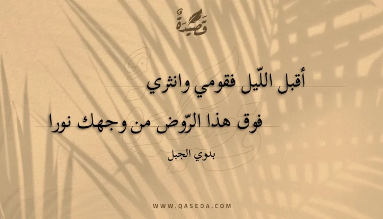 قصيدة أنا و هي