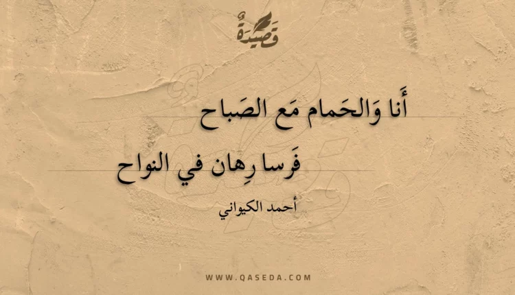 قصيدة أنا والحمام مع الصباح
