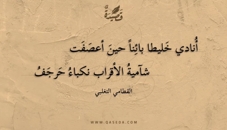 قصيدة أنادي خليطا بائنا حين أعصفت
