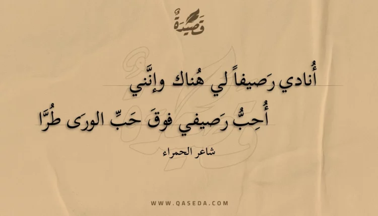 قصيدة أنادي رصيفا لي هناك وإنني