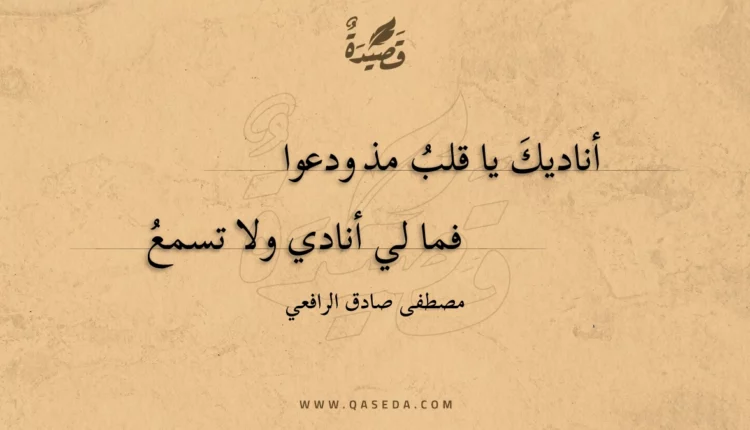 قصيدة أناديك يا قلب مذ ودعوا