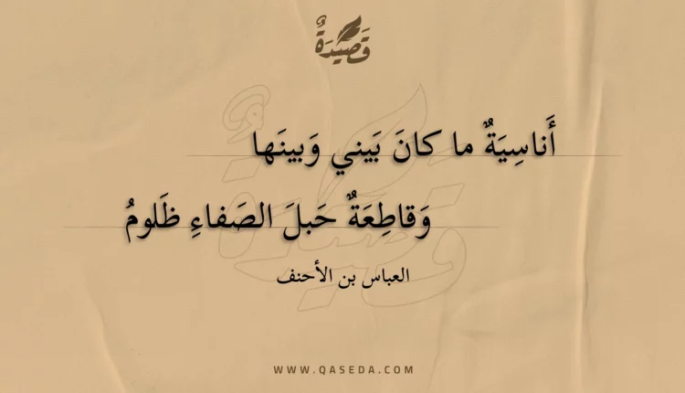 قصيدة أناسية ما كان بيني وبينها