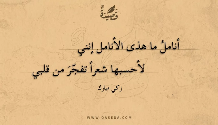 قصيدة أنامل ما هذى الأنامل إنني