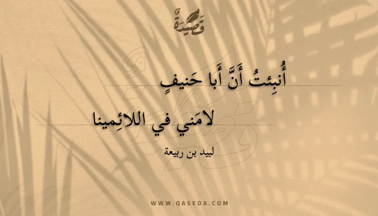 قصيدة أنبئت أن أبا حنيف