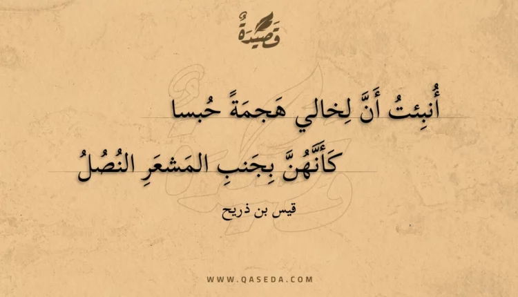 قصيدة أنبئت أن لخالي هجمة حبسا