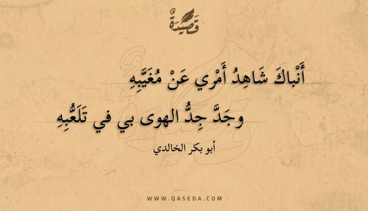 قصيدة أنباك شاهد أمري عن مغيبه