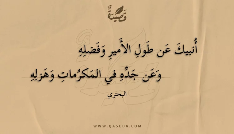 قصيدة أنبيك عن طول الأمير وفضله