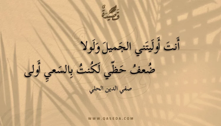 قصيدة أنت أوليتني الجميل ولولا