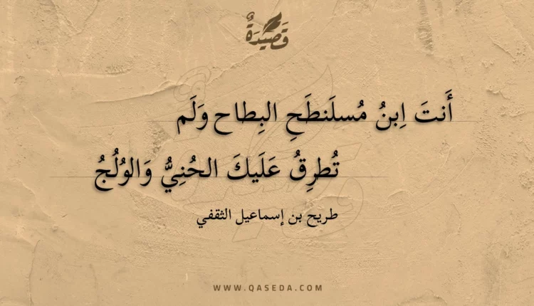 قصيدة أنت ابن مسلنطح البطاح ولم