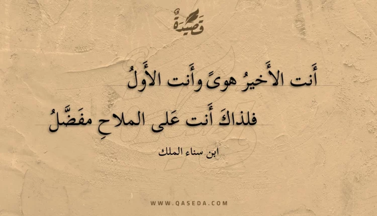قصيدة أنت الأخير هوى وأنت الأول