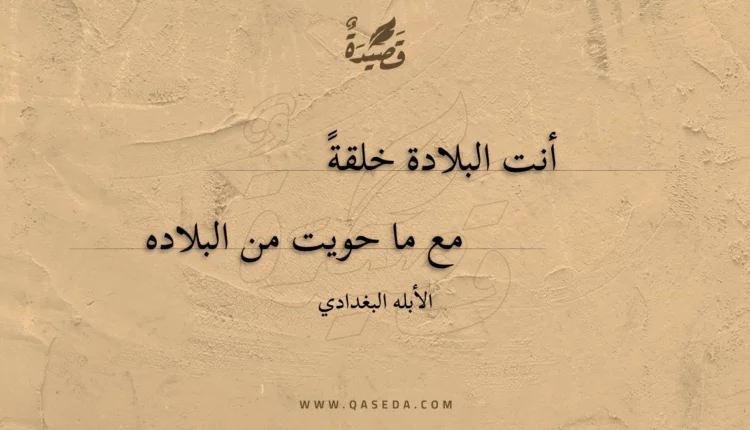 قصيدة أنت البلادة خلقة