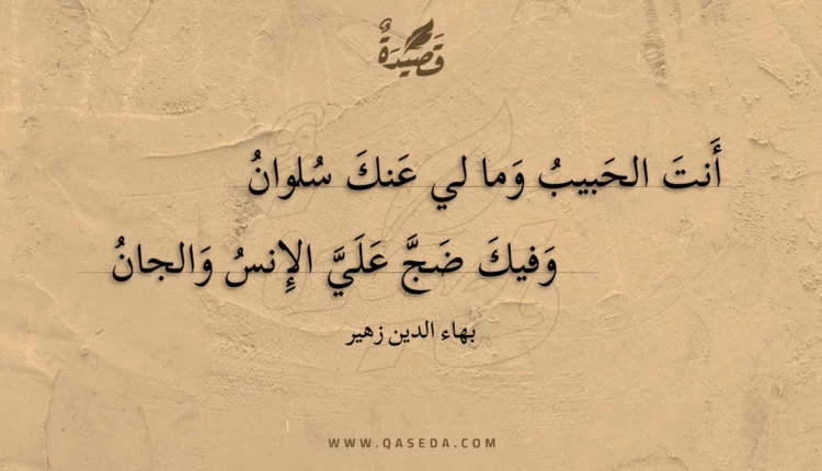 قصيدة أنت الحبيب وما لي عنك سلوان