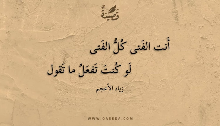 قصيدة أنت الفتى كل الفتى