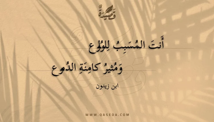قصيدة أنت المسبب للولوع
