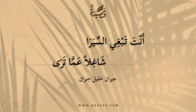 قصيدة أنت تبغي السيرا