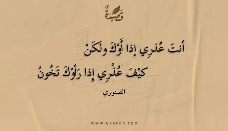 قصيدة أنت عذري إذا أوك ولكن