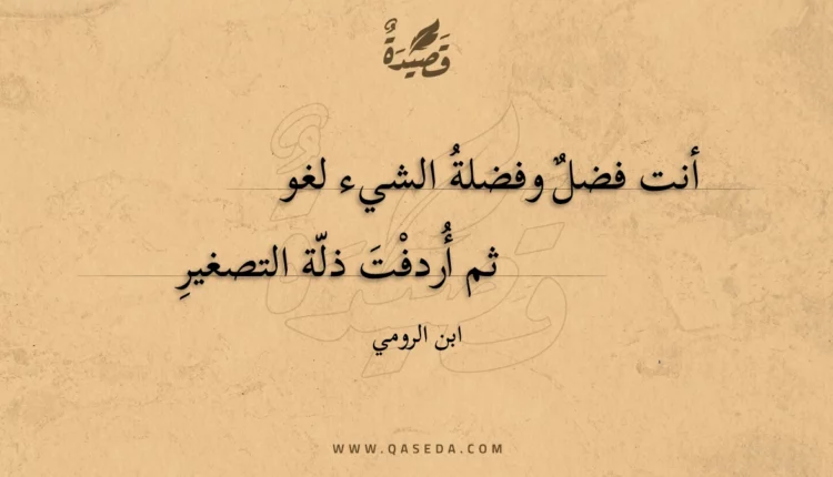 قصيدة أنت فضل وفضلة الشيء لغو