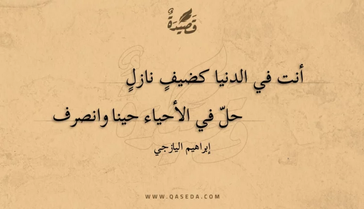 قصيدة أنت في الدنيا كضيف نازل