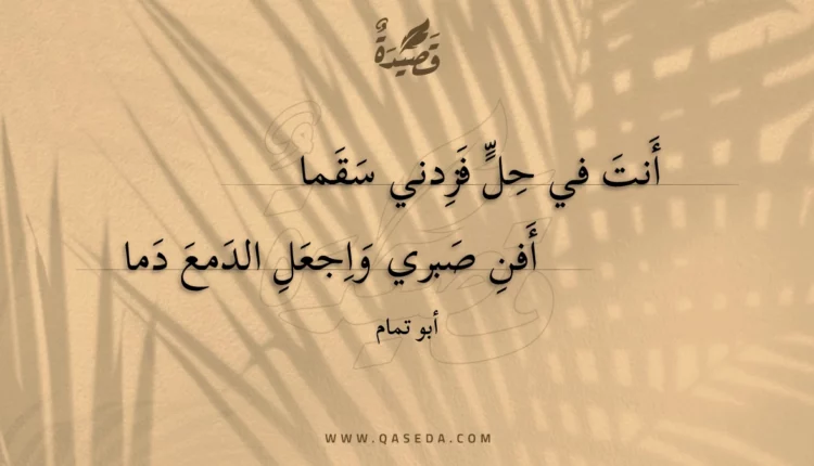 قصيدة أنت في حل فزدني سقما