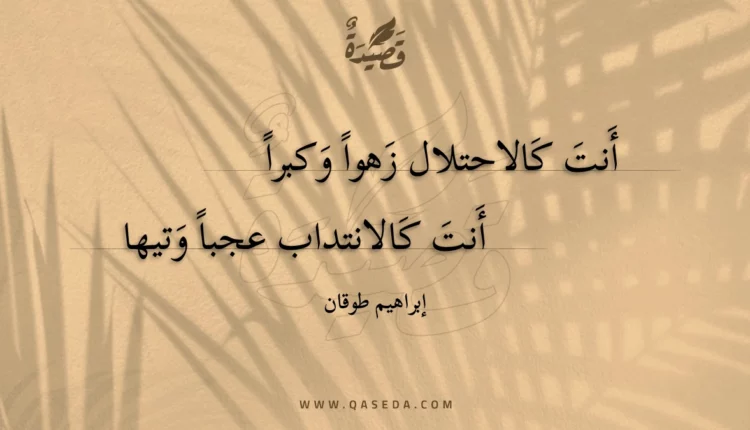 قصيدة أنت كالاحتلال زهوا وكبرا