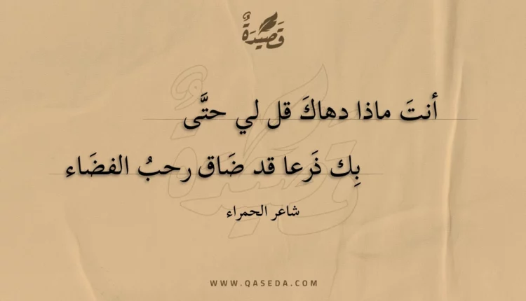 قصيدة أنت ماذا دهاك قل لي حتى