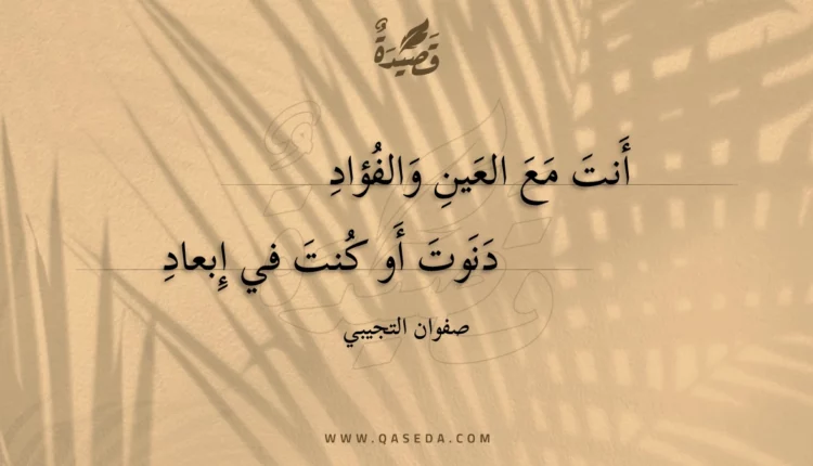 قصيدة أنت مع العين والفؤاد