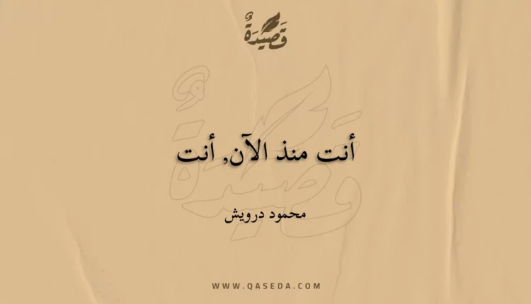 قصيدة أنت منذ الآن, أنت