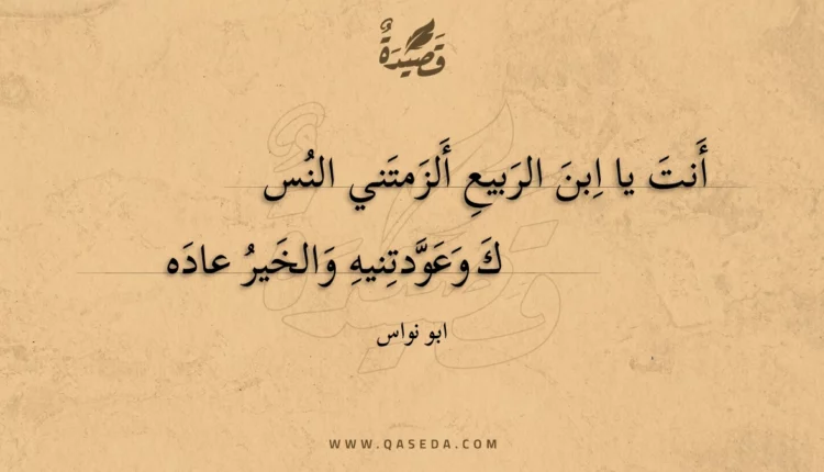 قصيدة أنت يا ابن الربيع ألزمتني النسك
