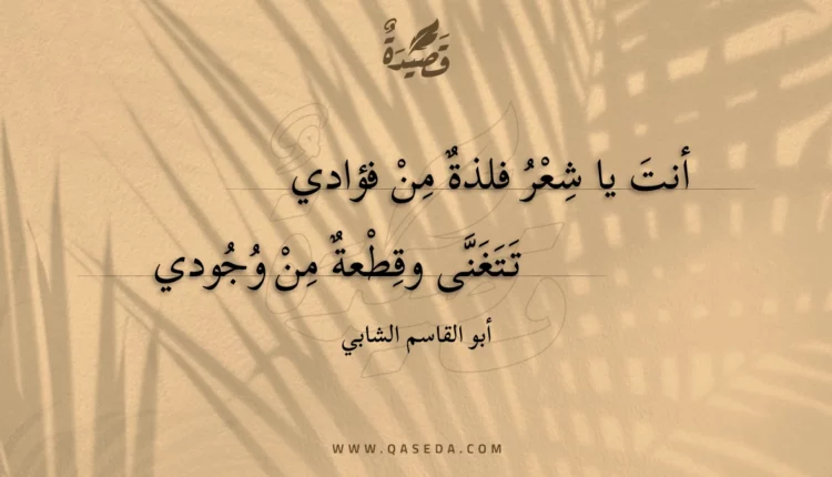 قصيدة أنت يا شعر فلذة من فؤادي