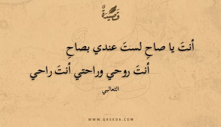 قصيدة أنت يا صاح لست عندي بصاح