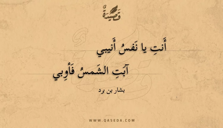 قصيدة أنت يا نفس أنيبي
