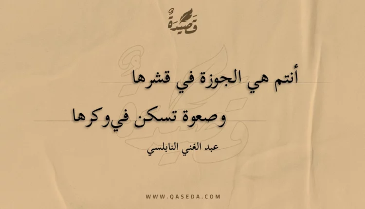 قصيدة أنتم هي الجوزة في قشرها