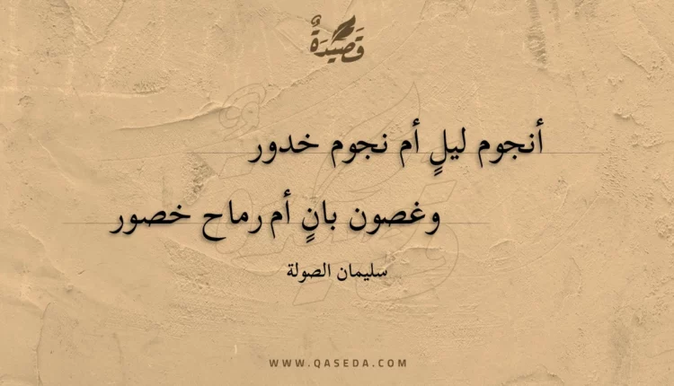 قصيدة أنجوم ليل أم نجوم خدور