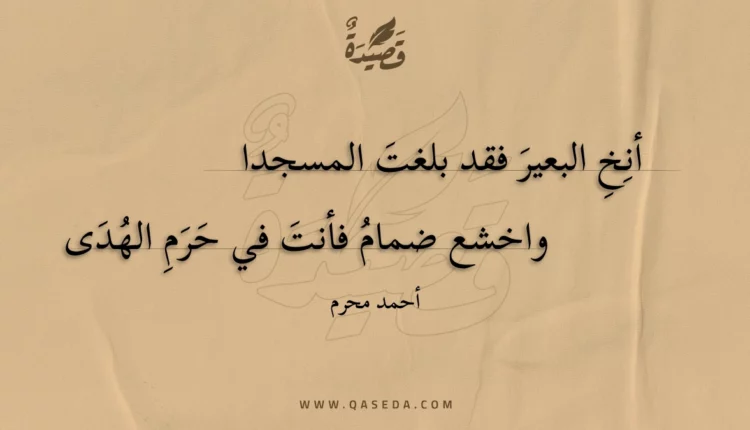 قصيدة أنخ البعير فقد بلغت المسجدا