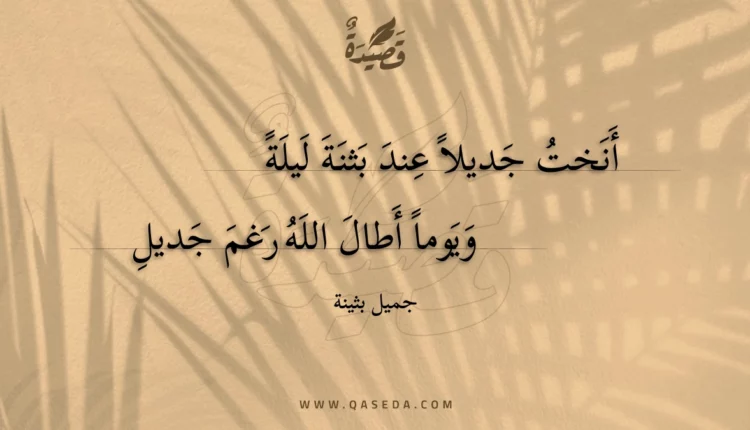قصيدة أنخت جديلا عند بثنة ليلة