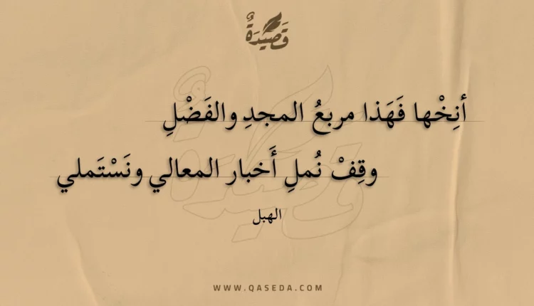 قصيدة أنخها فهذا مربع المجد والفضل