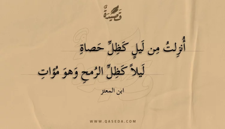 قصيدة أنزلت من ليل كظل حصاة
