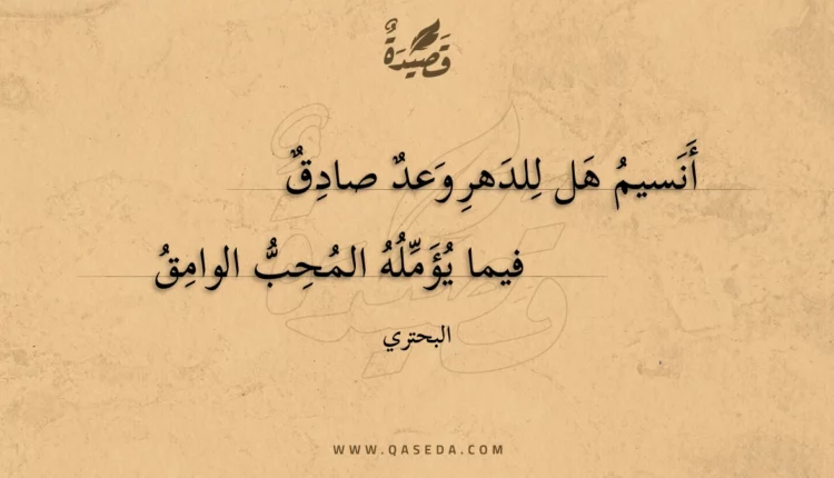 قصيدة أنسيم هل للدهر وعد صادق