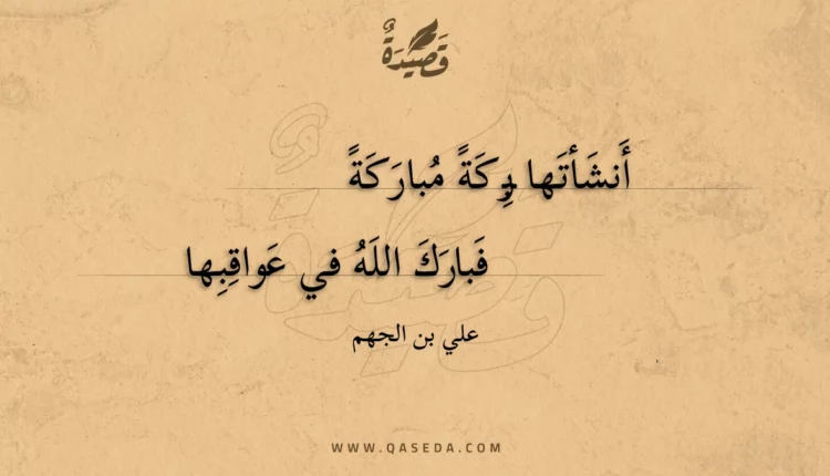 قصيدة أنشأتها بركة مباركة