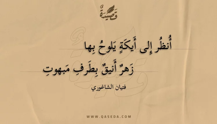 قصيدة أنظر إلى أيكة يلوح بها