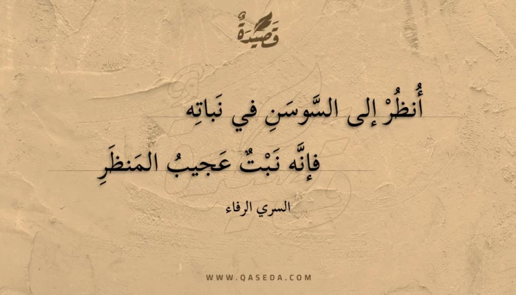 قصيدة أنظر إلى السوسن في نباته