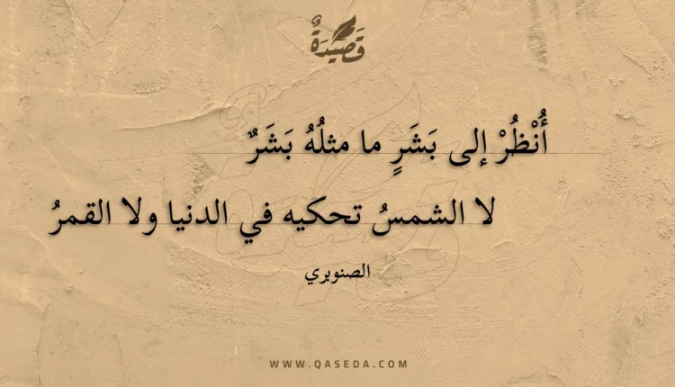 قصيدة أنظر إلى بشر ما مثله بشر
