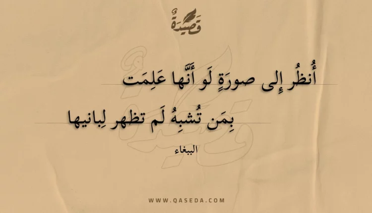 قصيدة أنظر إلى صورة لو أنها علمت