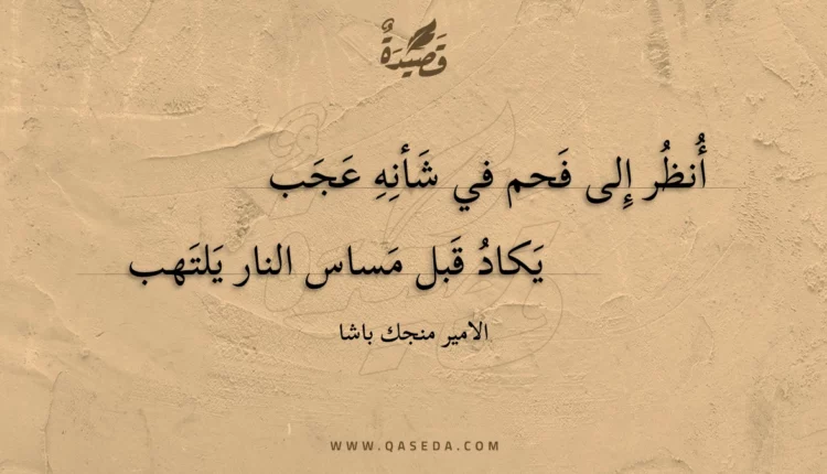 قصيدة أنظر إلى فحم في شأنه عجب