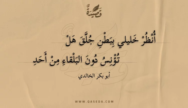 قصيدة أنظر خليلي ببطن جلق هل