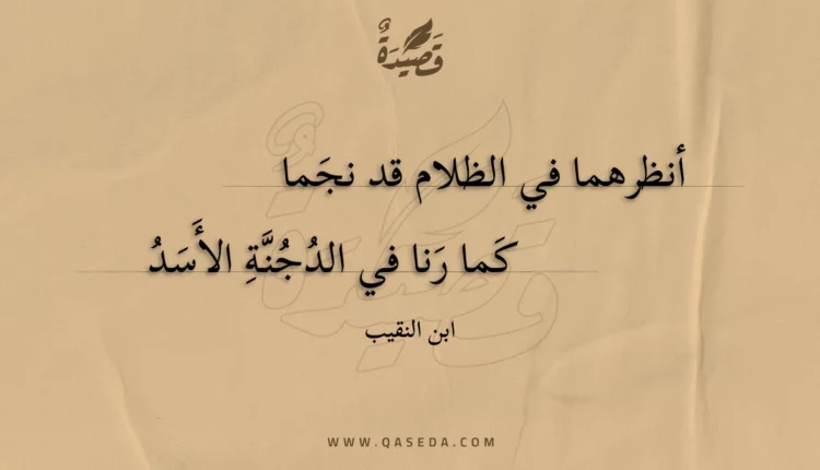 قصيدة أنظرهما في الظلام قد نجما