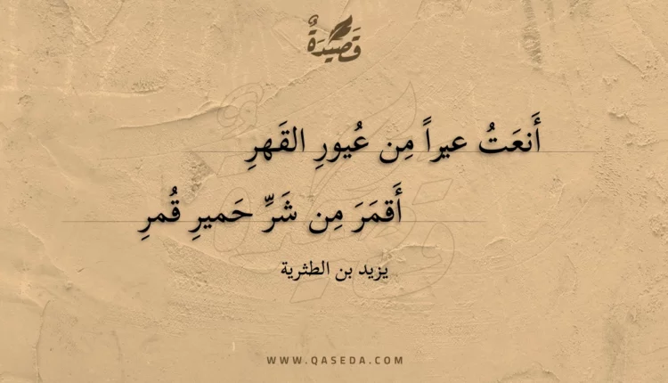 قصيدة أنعت عيرا من عيور القهر