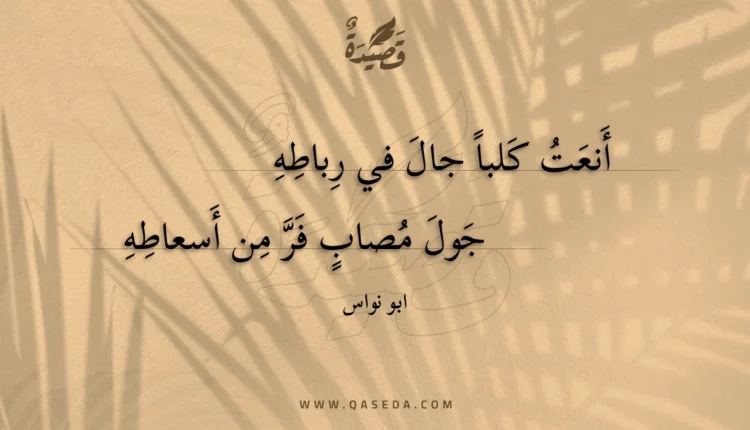 قصيدة أنعت كلبا جال في رباطه